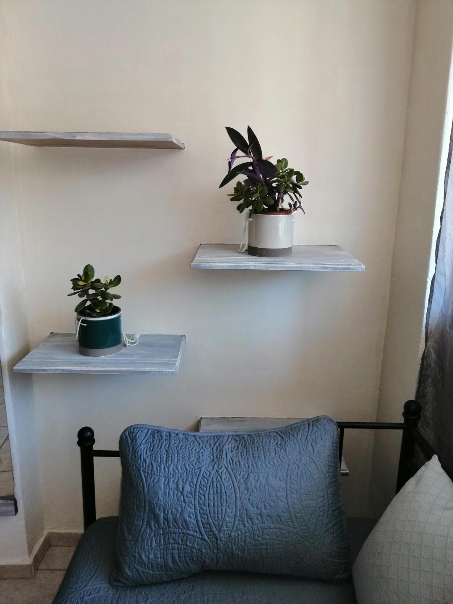 Mini Suites 干尼亞 外观 照片